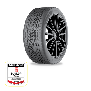 Dunlop WINTER 255/35 R19 96W